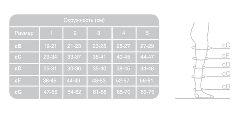 Чулки антиэмболические Ergoforma 1 класс компрессии (18-21 мм рт.ст.)